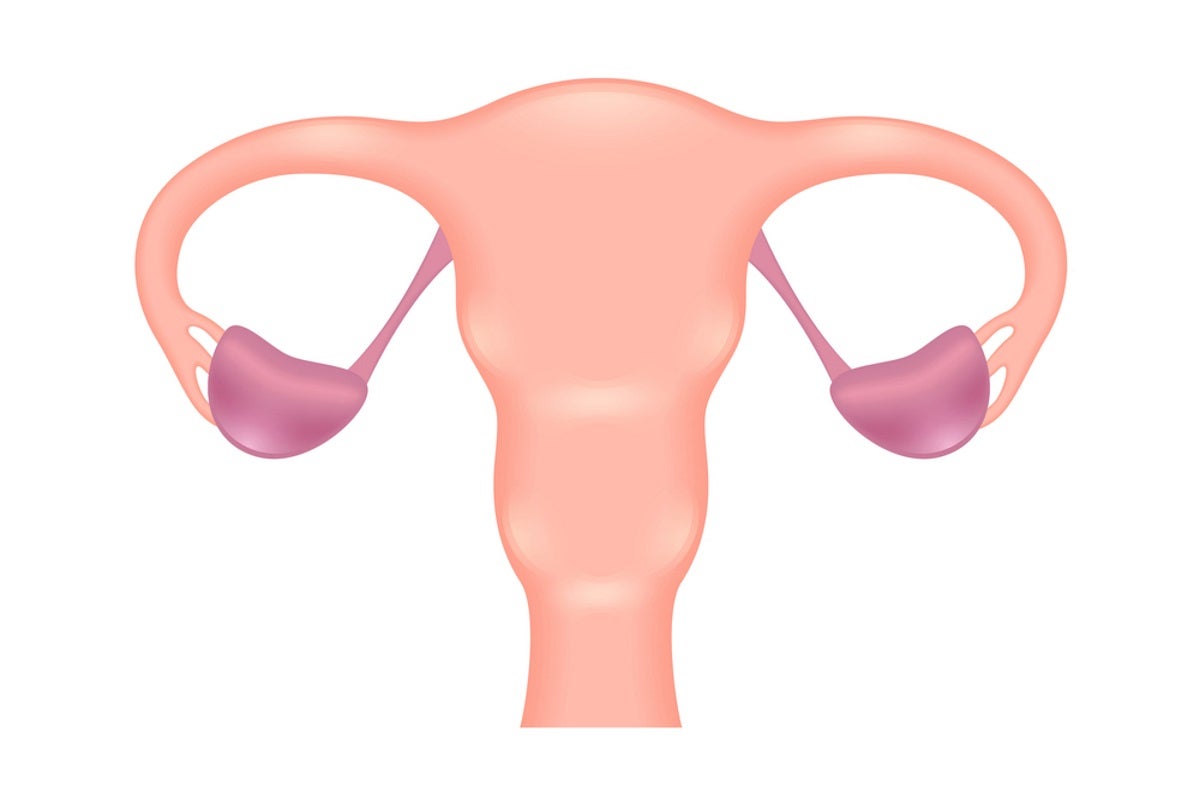 Salpingectomy (Removal of the Fallopian Tubes) 101