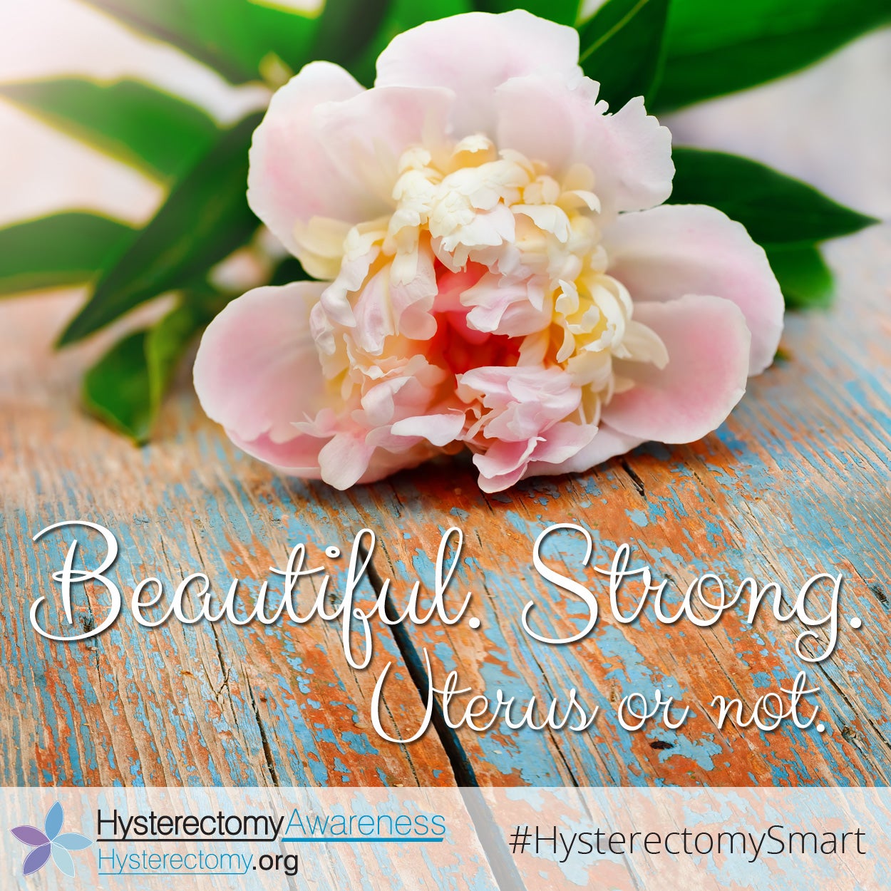 Beautiful Strong Uterus or Not #StillaWoman #HysterectomySmart