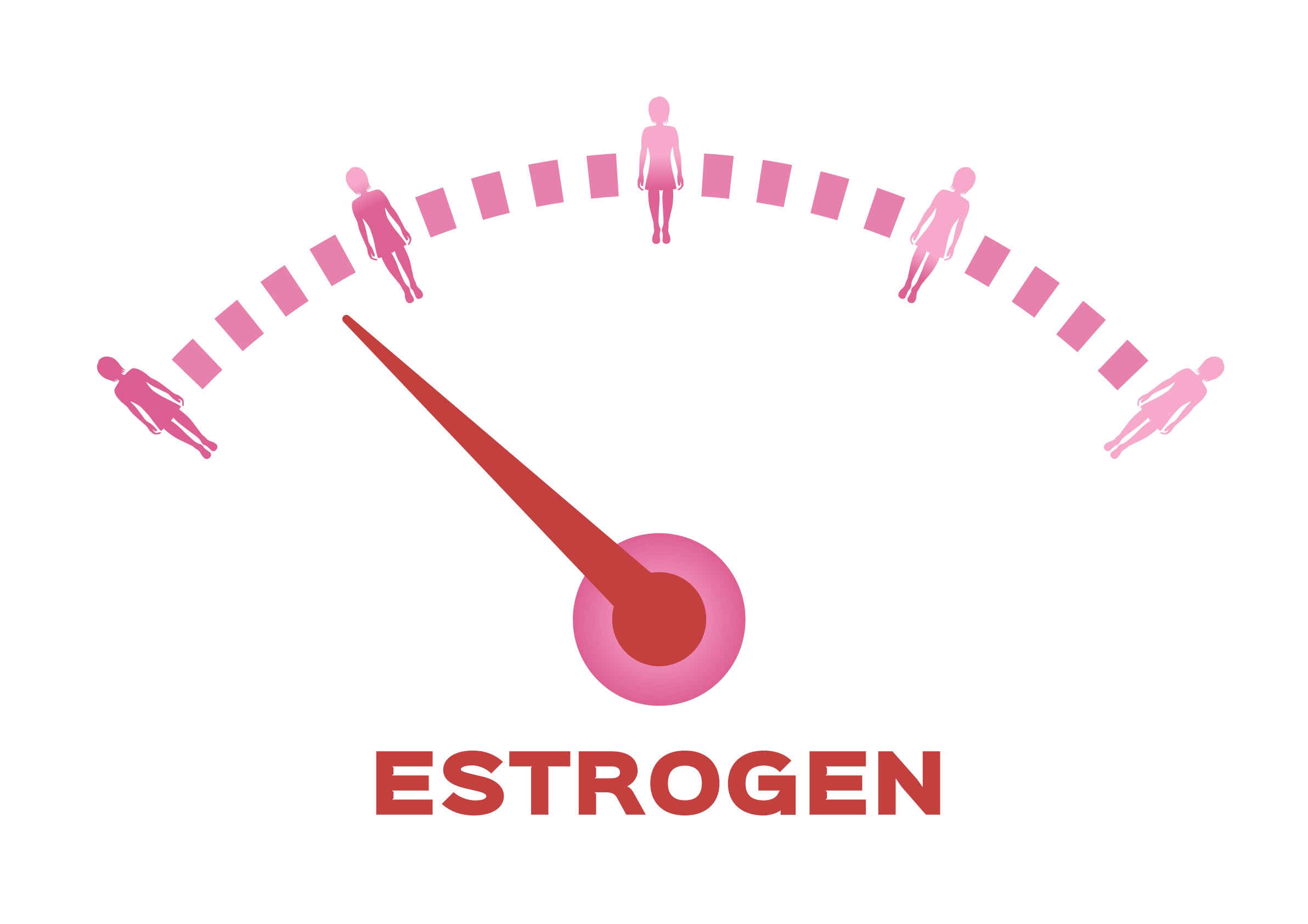 Estradiol slows lipid progression in early menopause