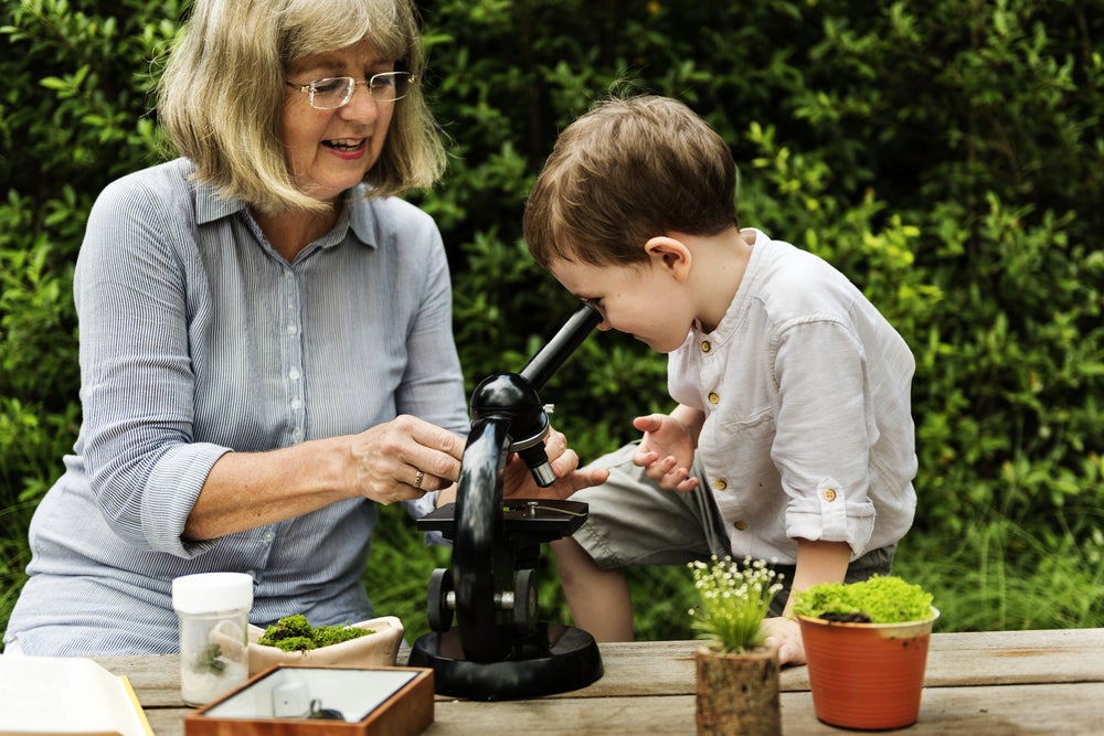 Use of cognitive abilities to care for grandkids may have driven evolution of menopause